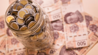 México crecerá más en este año OCDE