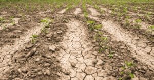 Sequía pega a 108 municipios del Estado de México