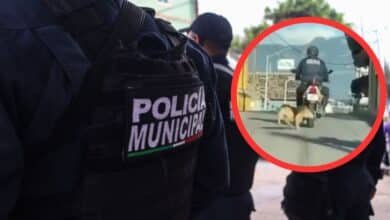 Veracruz Policía arrastra a perro.