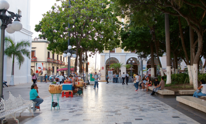 AMLO ordena investigar quejas de empresarios de Veracruz contra Sergio Rodríguez