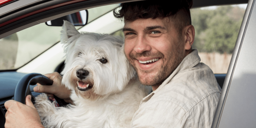 ¿Es posible recibir una multa de Tránsito en Veracruz por llevar a tu mascota mientras manejas