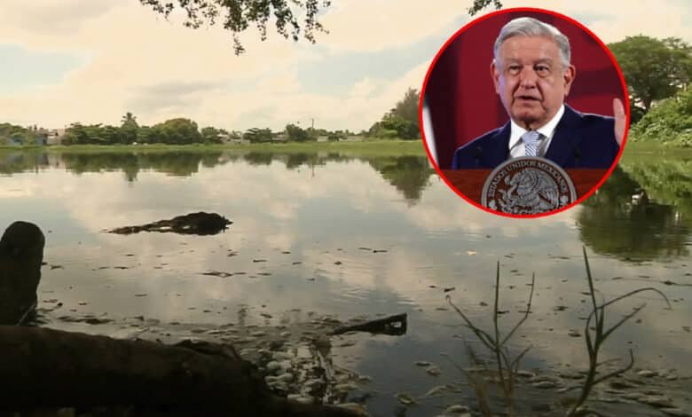 AMLO