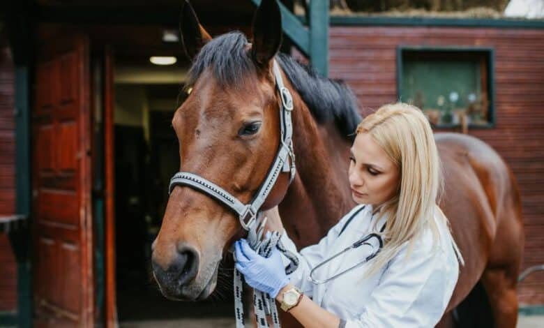 Caballo virus.