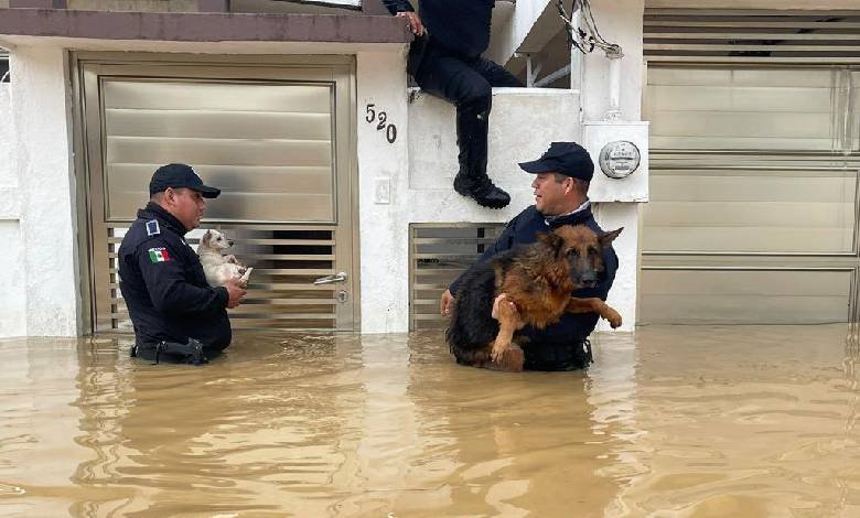 Más de  mil viviendas afectadas por inundaciones en Veracruz 