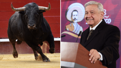 AMLO emite su opinión sobre las corridas de toros