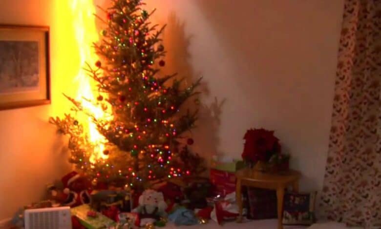 Árbo de navidad.