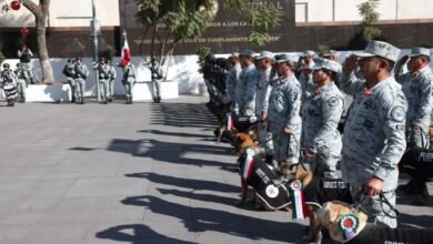 Perros guardia nacional.