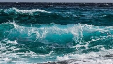 10 cosas que no sabías del mar del Norte
