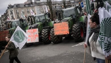 ¿El comercio internacional condena a los agricultores franceses