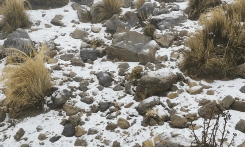 Se registra nevada en el Cofre de Perote