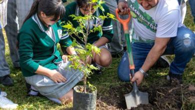 Preparan sexto 'Ambientón' Festival Ecológico en Veracruz