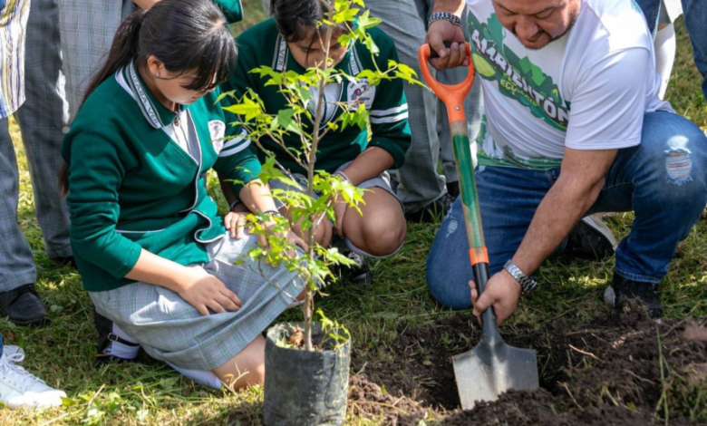 Preparan sexto 'Ambientón' Festival Ecológico en Veracruz