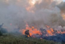 Veracruz registra 21 incendios forestales en los primeros meses de 2025