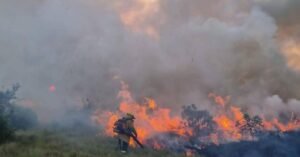 Veracruz registra 21 incendios forestales en los primeros meses de 2025