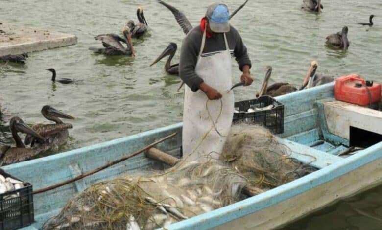 Pesca.