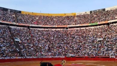 Corridas de toros: ¿Qué países y lugares han decidido prohibirla?