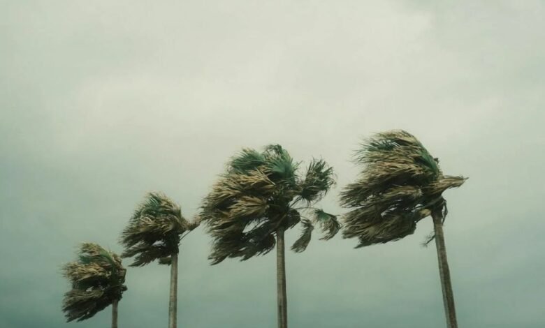 Alerta Gris por llegada del Frente Frío 35 al puerto de Veracruz