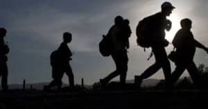 Aseguran a 29 migrantes en cuatro municipios de Veracruz