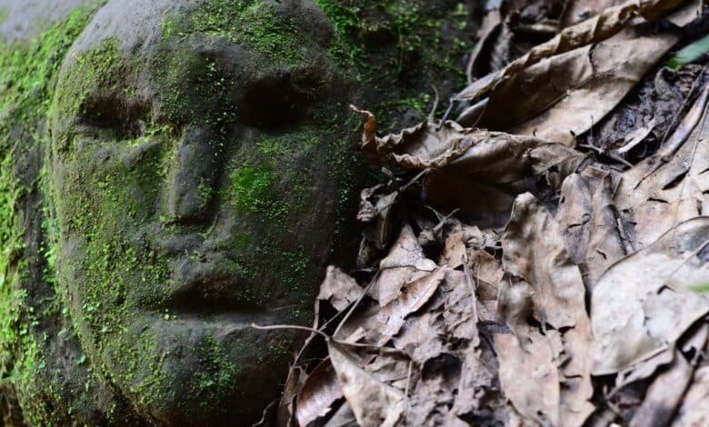 Conoce la Cueva de los Changos en Jalcomulco