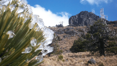 Activan operativo para resguardar a visitantes del Cofre de Perote tras nevadas