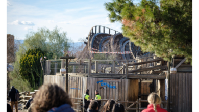 Cae un árbol sobre una montaña rusa en parque PortAventura en España, hay varios heridos