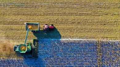 Por sequía, Jalisco lanza programa de apoyo a productores del campo