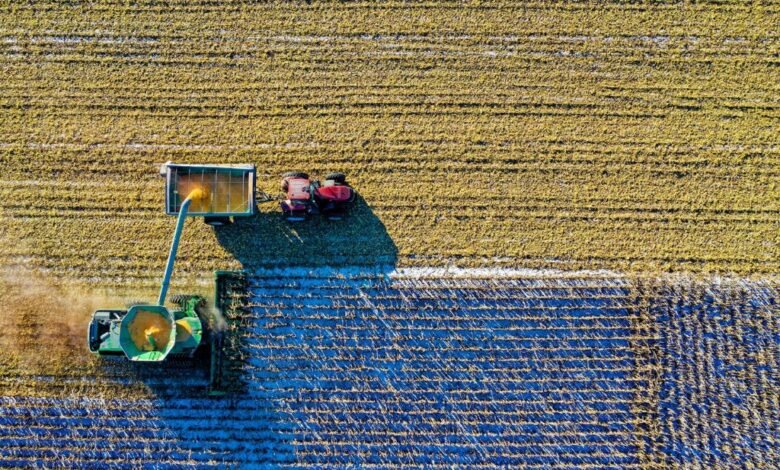 Por sequía, Jalisco lanza programa de apoyo a productores del campo