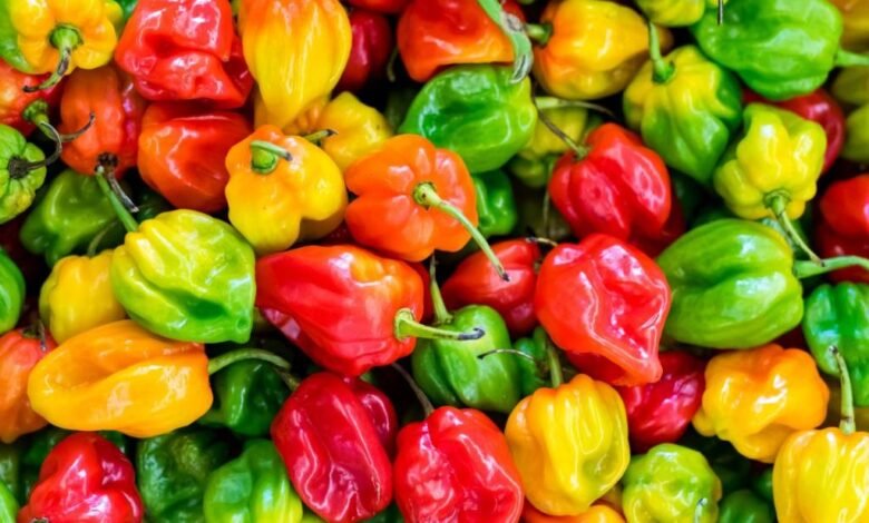 El cuarto chile más picoso del mundo se encuentra en México
