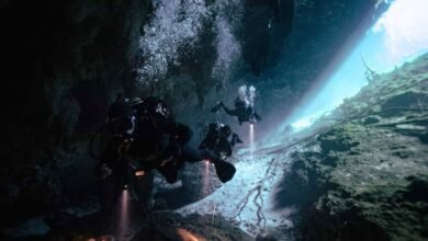 Buceo en cenotes, tres lugares increíbles para bucear en México