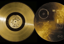 ¿Sabías que un son jarocho se encuentra grabado en el disco "The Sounds of Earth" enviado al espacio?