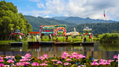 ¿Sabías que Veracruz tiene su propio Xochimilco en Córdoba?