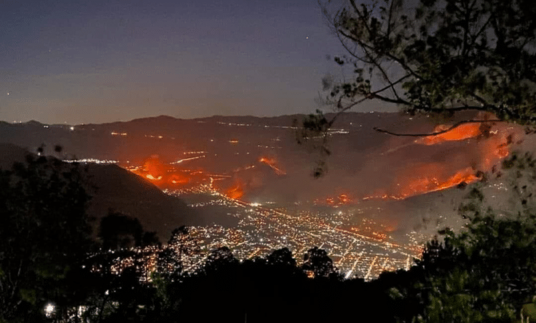 Continúan combatiendo los incendios en Maltrata-Nogales