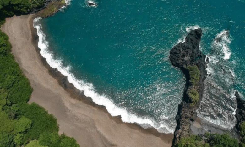 Estas son las playas más limpias de Veracruz para ir a nadar según Cofepris
