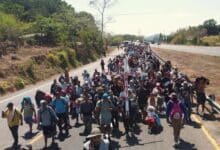 Migrantes.