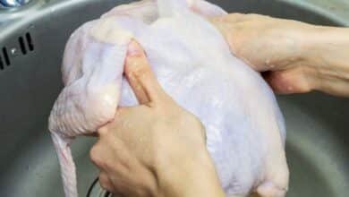 Pollo.