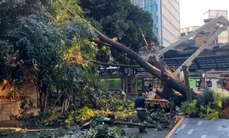Activan alerta amarilla por vientos fuertes en las 16 alcaldías