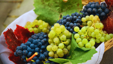 Uvas deliciosas, nutritivas y emblemáticas en México