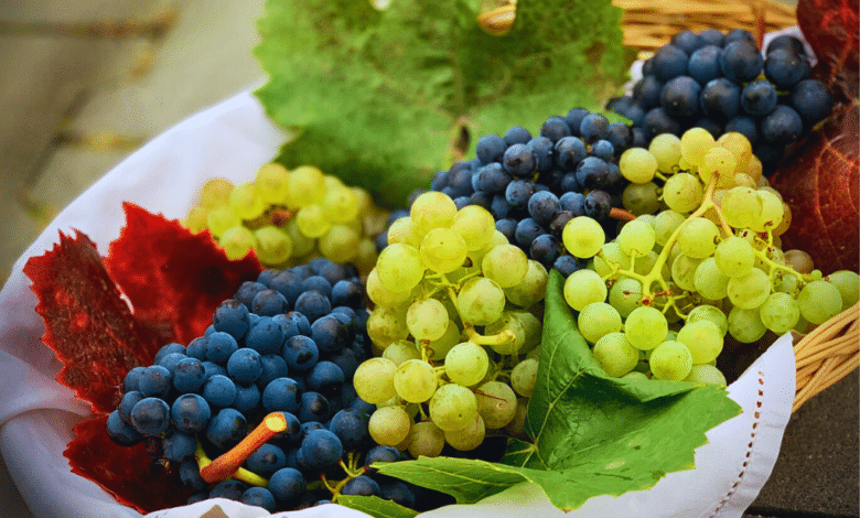 Uvas deliciosas, nutritivas y emblemáticas en México