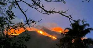 Los incendios en Veracruz podrían haber sido provocados, ya buscan a los responsables