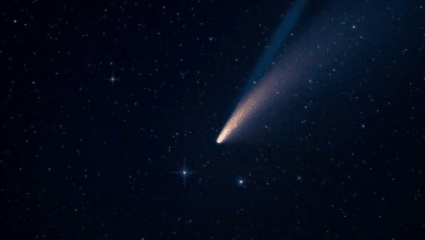 Cometa Diablo 2024 Cuál es la mejor fecha para verlo sin telescopio