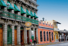Reportan ocupación hotelera del 100% en Coatepec durante ferias y festivales