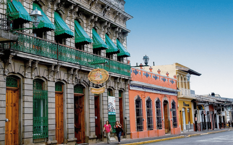 Reportan ocupación hotelera del 100% en Coatepec durante ferias y festivales