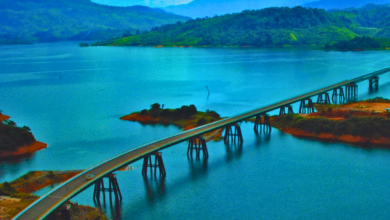 Esta es la carretera más bonita de México y se ubica en Veracruz