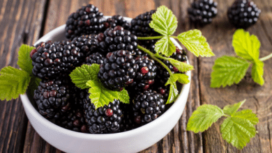 La fruta que ayuda a la generación de colágeno y es anticoagulante