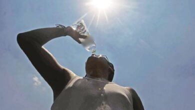 ¿Cómo evitar los golpes de calor? El IPN da estas recomendaciones