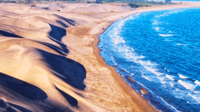 Todo lo que puedes hacer en Playa Chachalacas, Veracruz