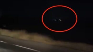 Video: Supuesto OVNI en carretera de México sorprende a usuarios de TikTok