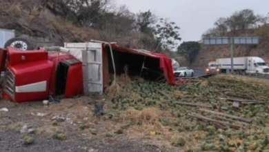 Vuelca camión cargado de toneladas de piña en Veracruz