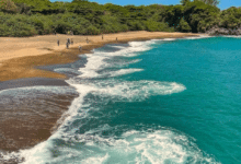 Conoce Playa Ermitas, la playa con arena dorada en Veracruz 