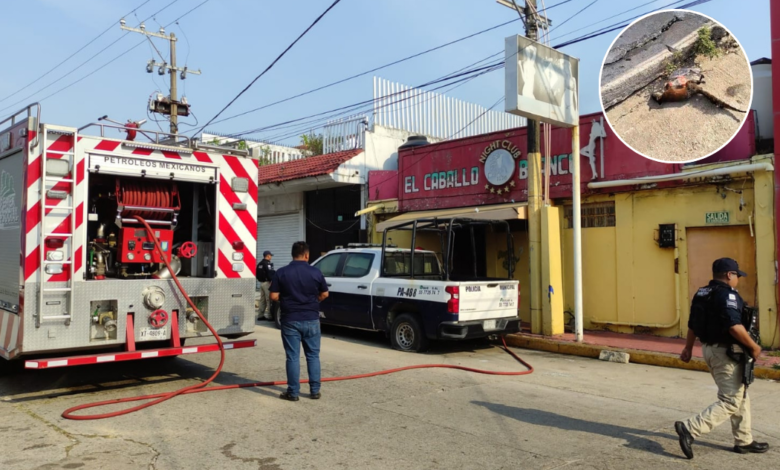 Ardilla provoca el incendio de las instalaciones abandonadas del bar Caballo Blanco de Coatzacoalcos